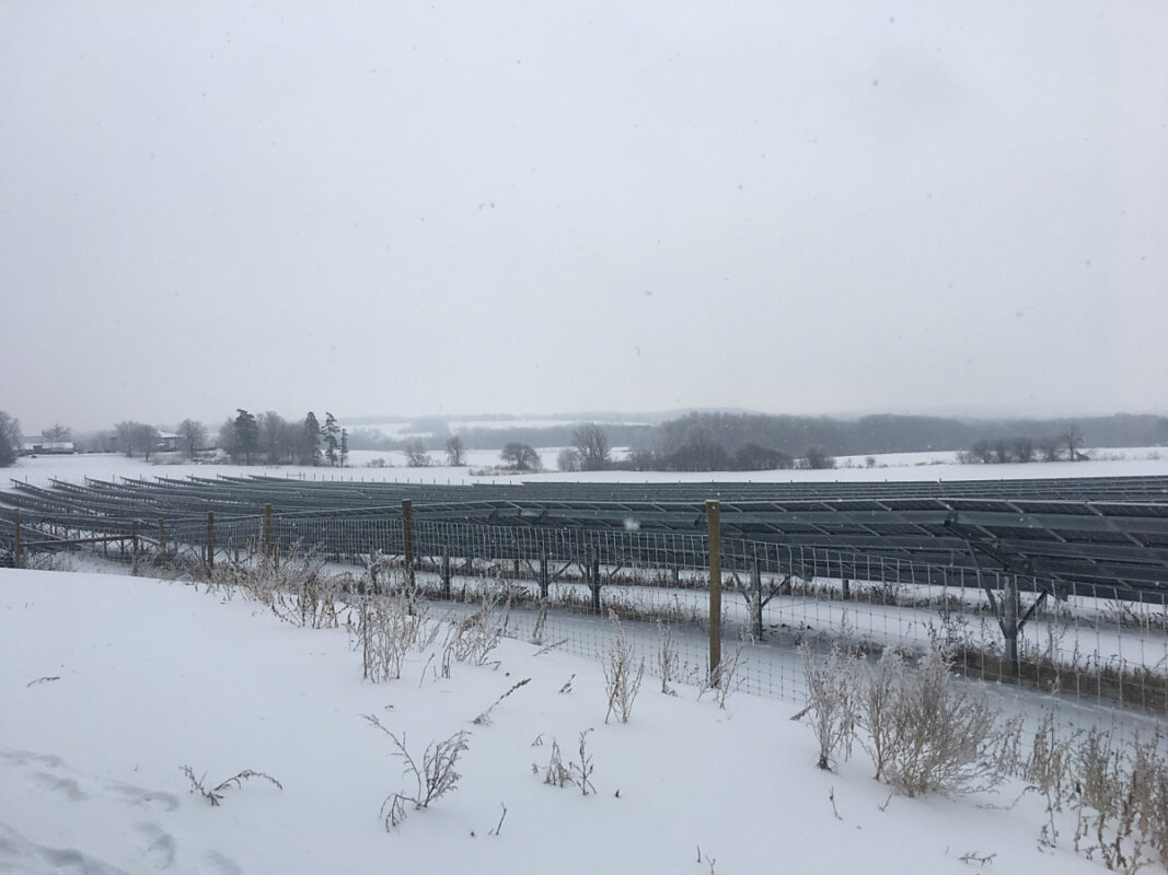 Deer Fence - Solar Array Site